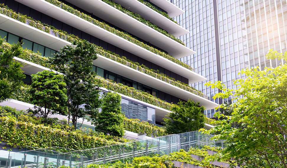 Our Project One Image 3